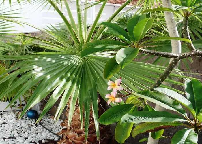 Willa Exclusive In Bahia Del Duque